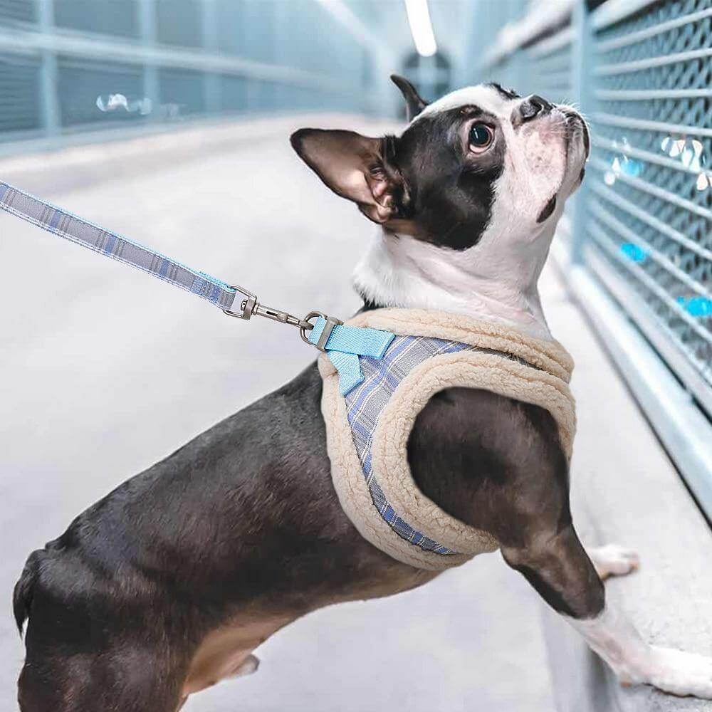 Sweet Warm Fur Pet Walking Leash - MaviGadget