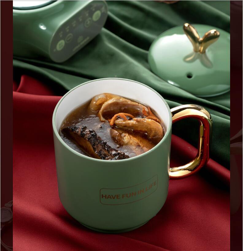 Elegant Mini Electric Ceramic Kettle - MaviGadget