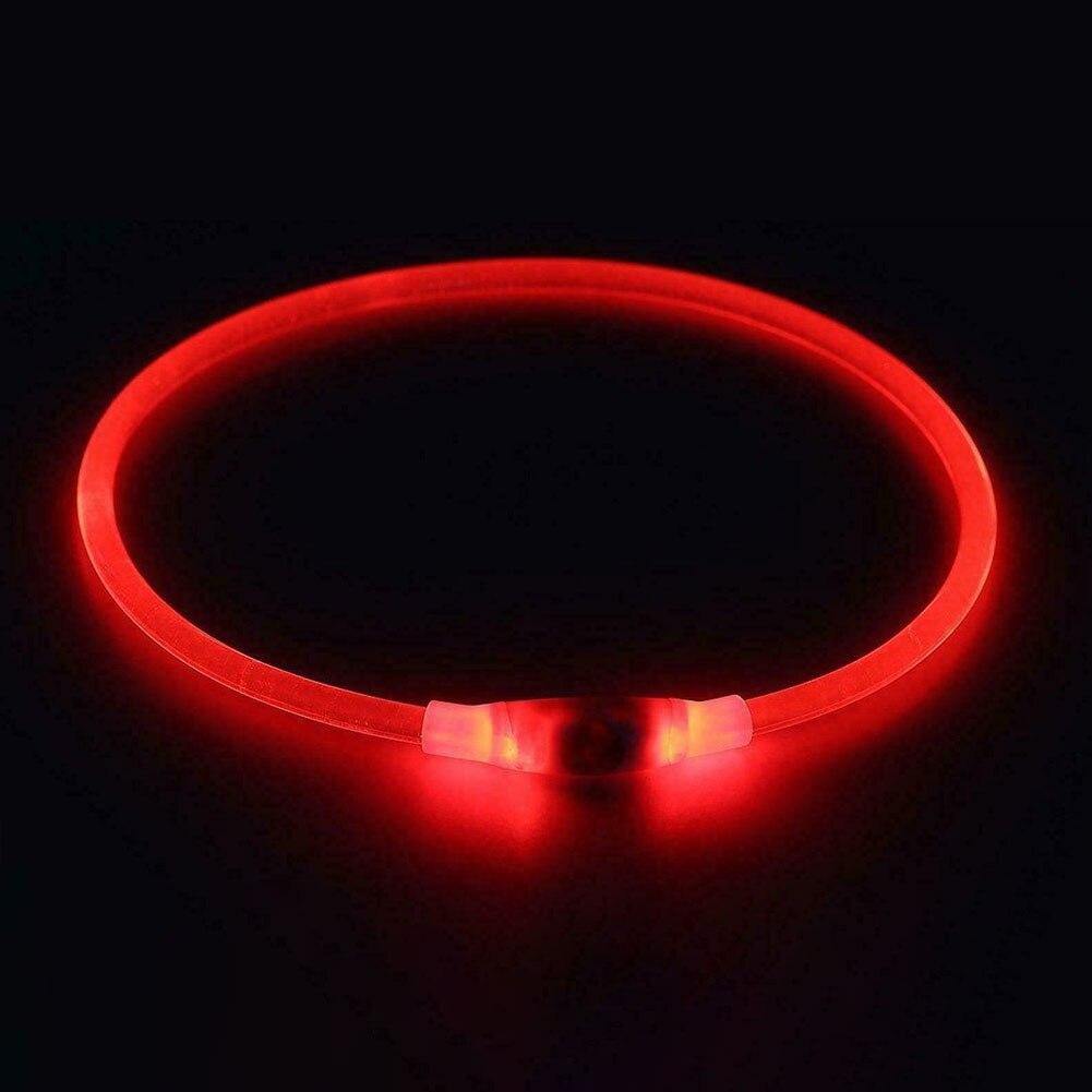 Super Bright Fashion LED Dog Glowing Collar - MaviGadget