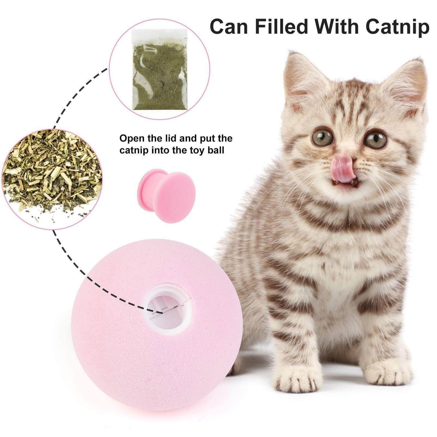 Pet Interactive Training Sound Ball - MaviGadget