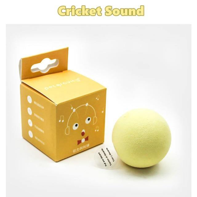 Pet Interactive Training Sound Ball - MaviGadget