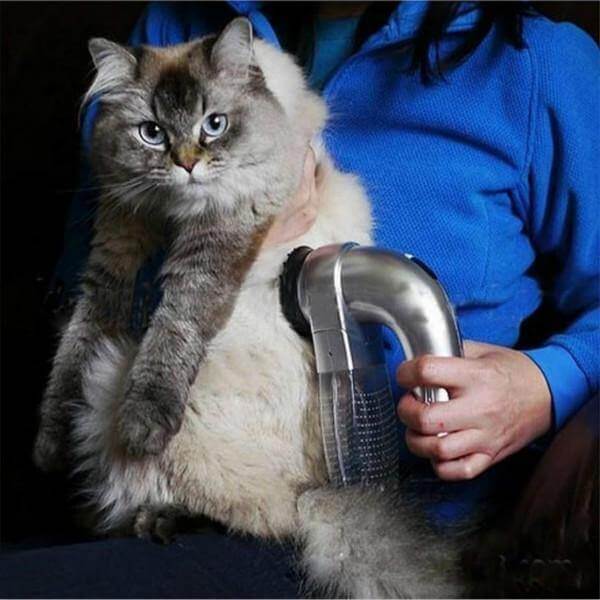 Electric Cordless Pet Hair Vacuum - MaviGadget