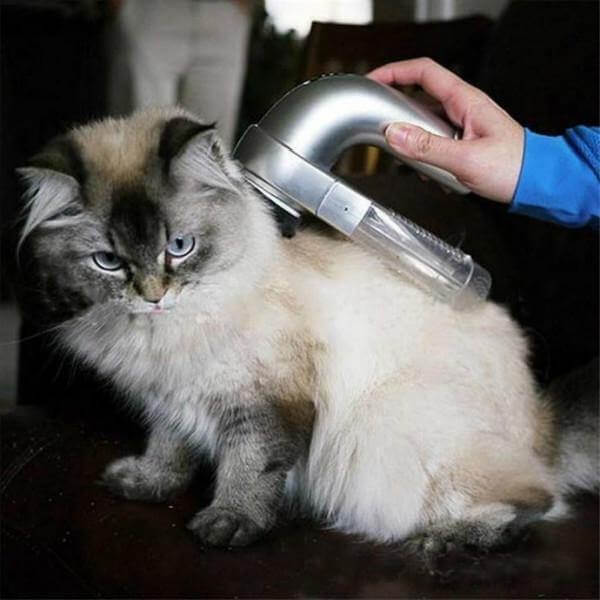 Electric Cordless Pet Hair Vacuum - MaviGadget