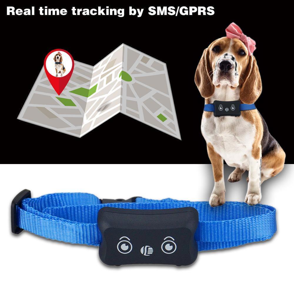 Waterproof GPS Pet Tracking Collar - MaviGadget