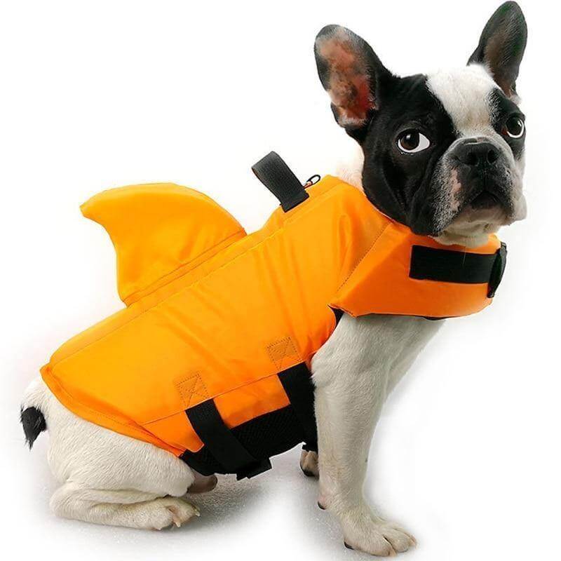 Dog Shark Pet Swimming Life Jacket - MaviGadget