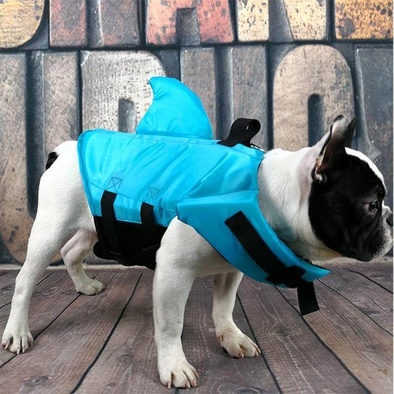 Dog Shark Pet Swimming Life Jacket - MaviGadget