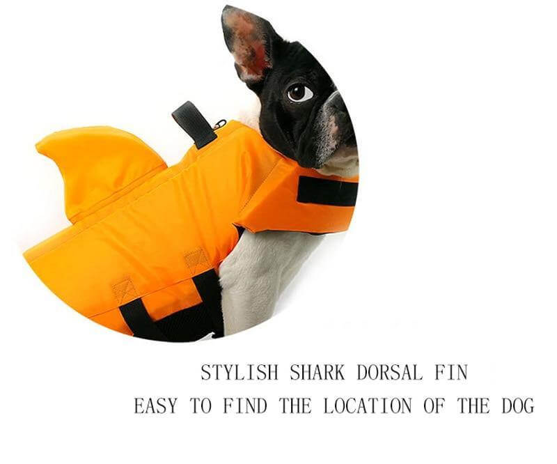 Dog Shark Pet Swimming Life Jacket - MaviGadget