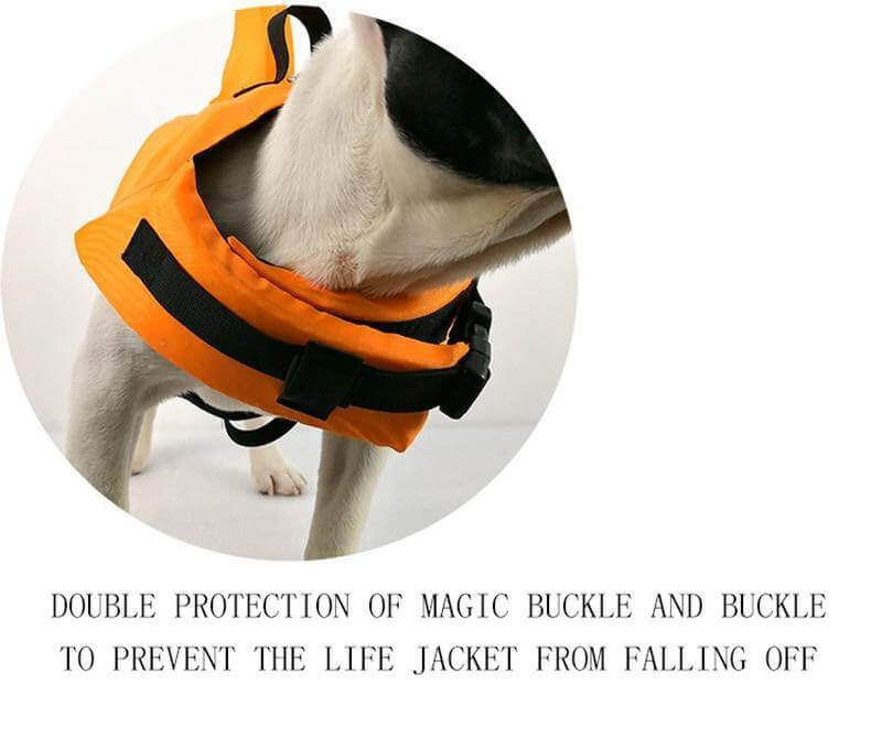 Dog Shark Pet Swimming Life Jacket - MaviGadget