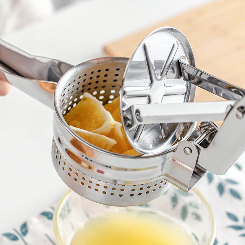 Stainless Steel Vegetable Fruit Juice Masher Tool - MaviGadget