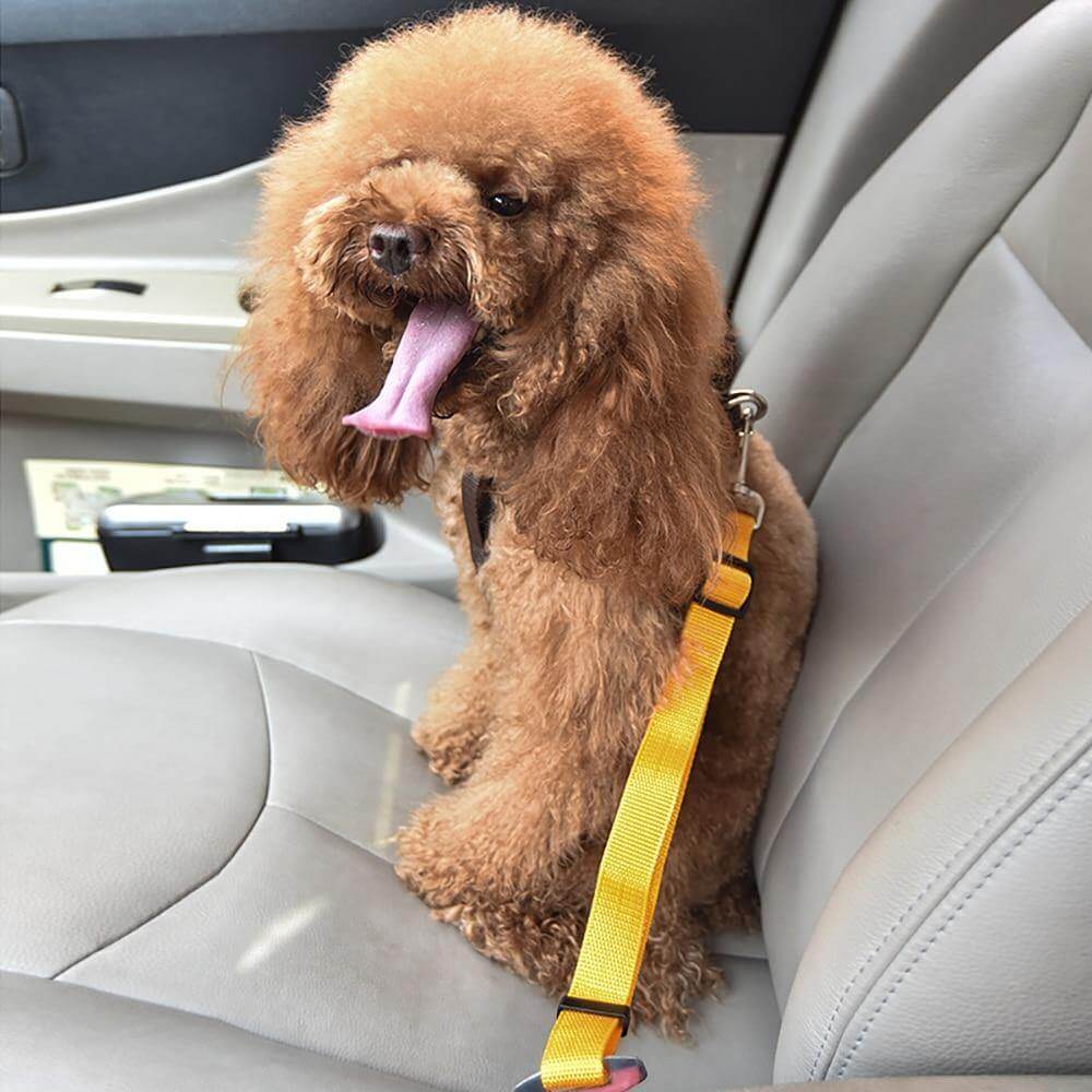 Adjustable Car Pet Safety Belt - MaviGadget