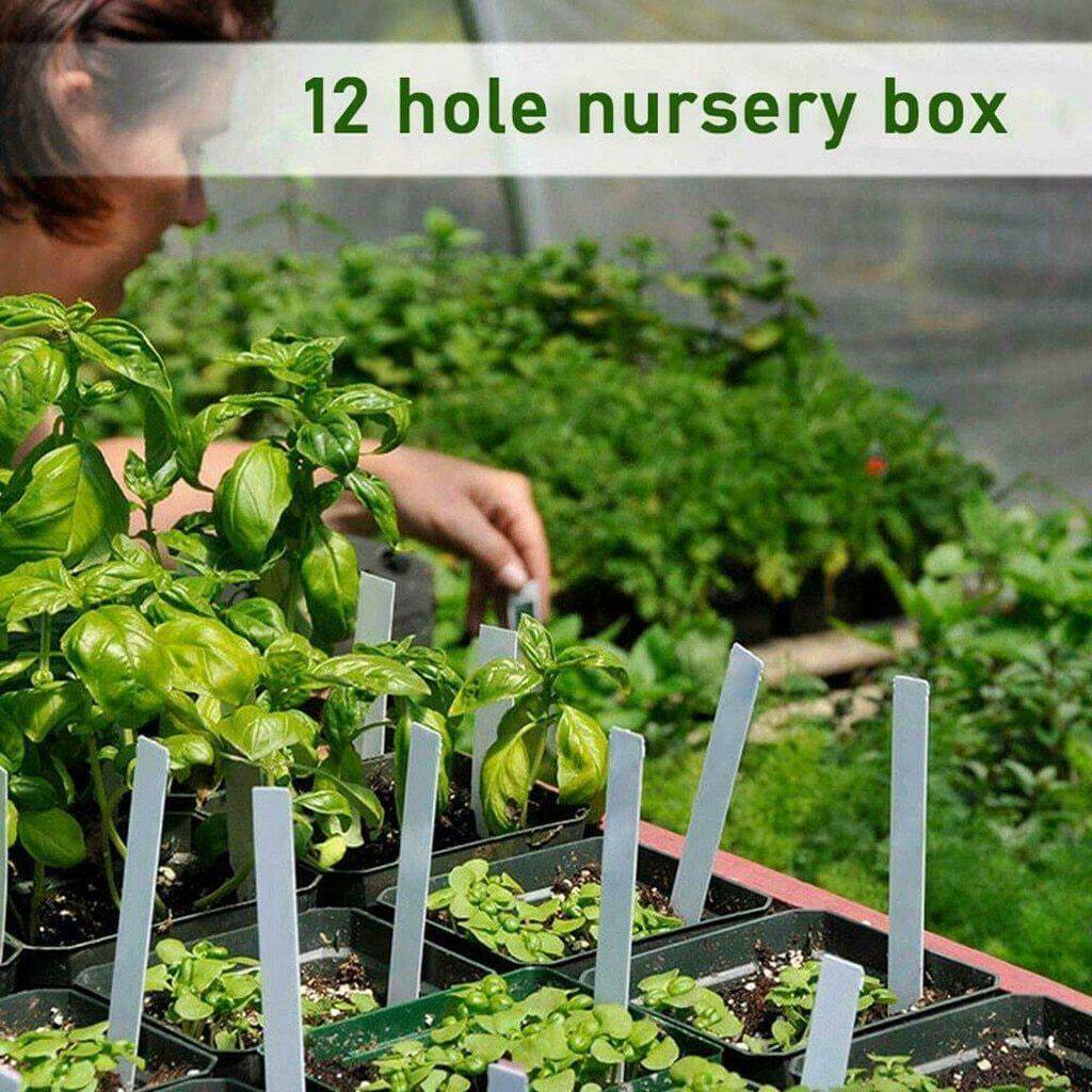 Adjustable 12 Seedling Planting Box - MaviGadget
