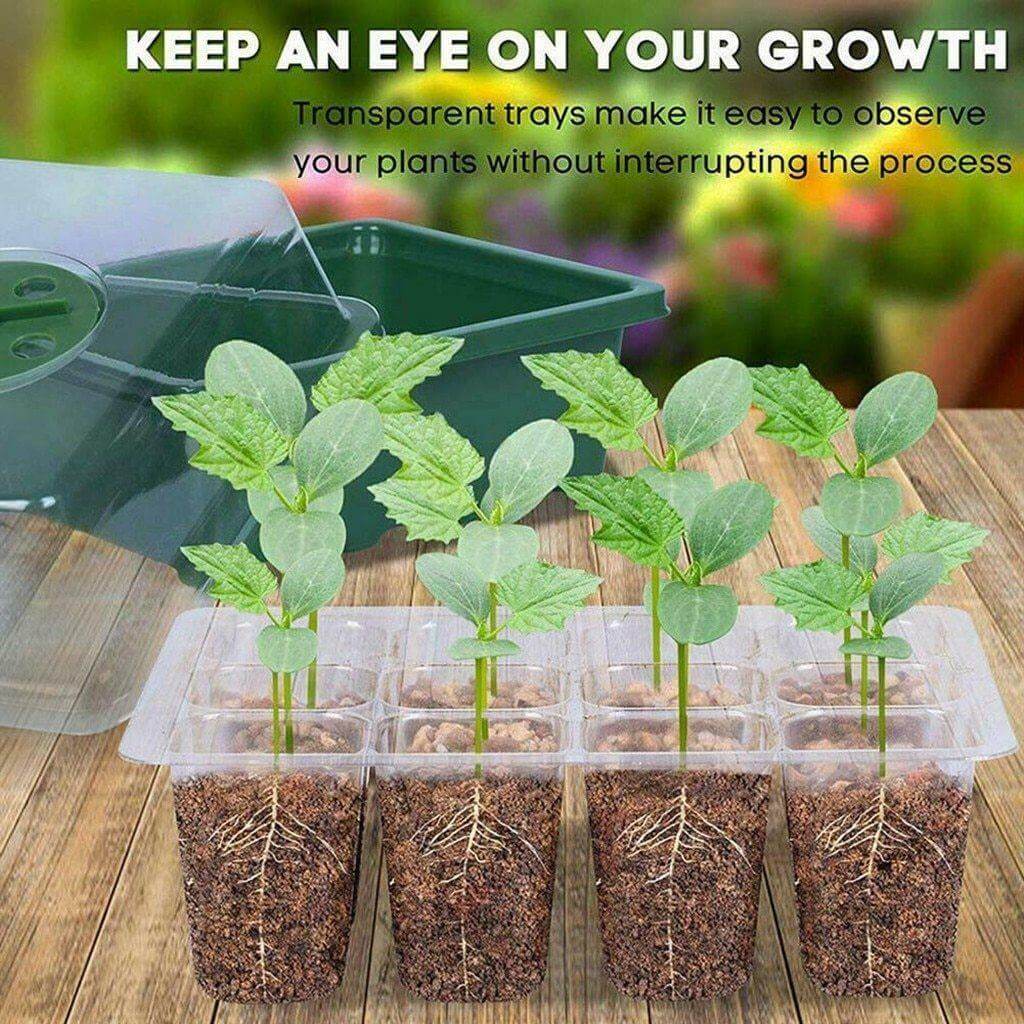 Adjustable 12 Seedling Planting Box - MaviGadget