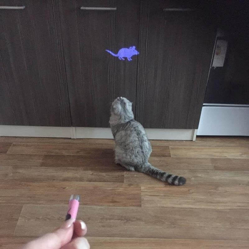 Funny Laser Cat Toy - MaviGadget