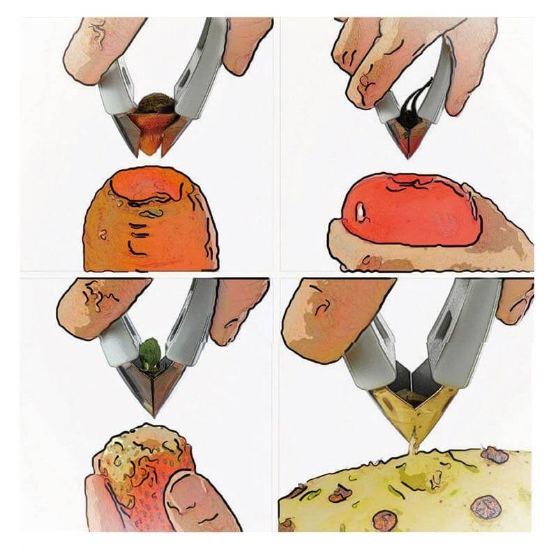 Fruit Stem Remover Tweezer Tool - MaviGadget