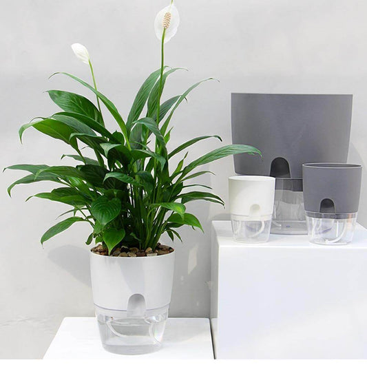 Self-watering Plant Pot with Water Container - MaviGadget