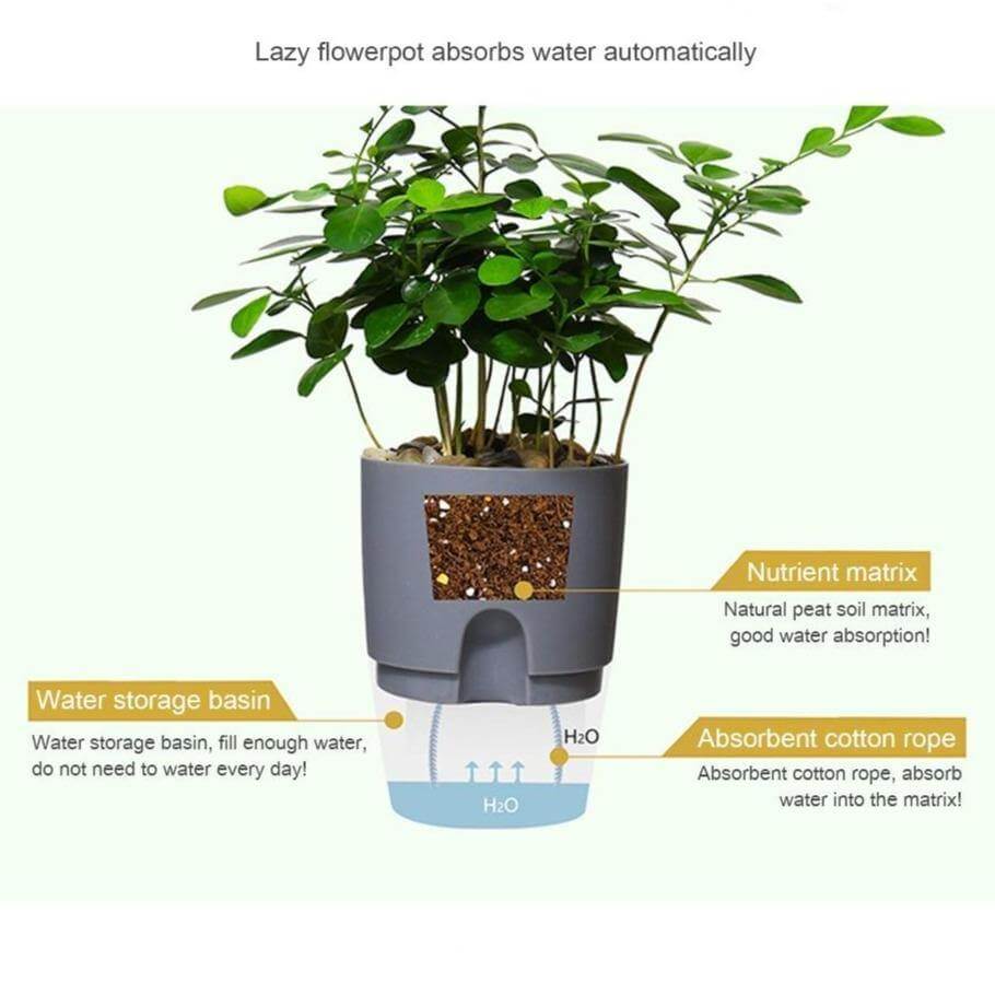Self-watering Plant Pot with Water Container - MaviGadget