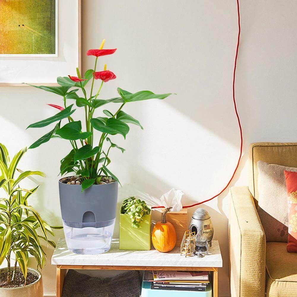 Self-watering Plant Pot with Water Container - MaviGadget