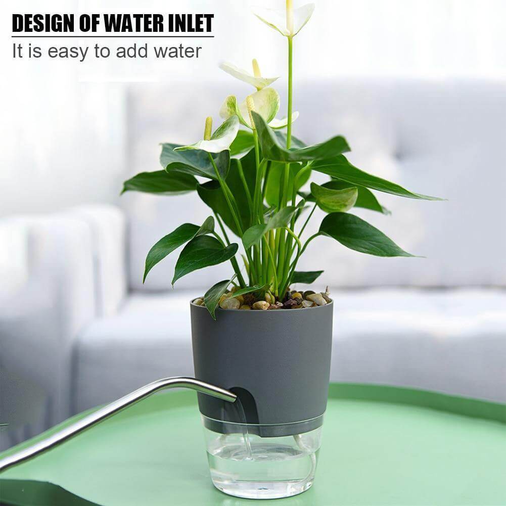 Self-watering Plant Pot with Water Container - MaviGadget
