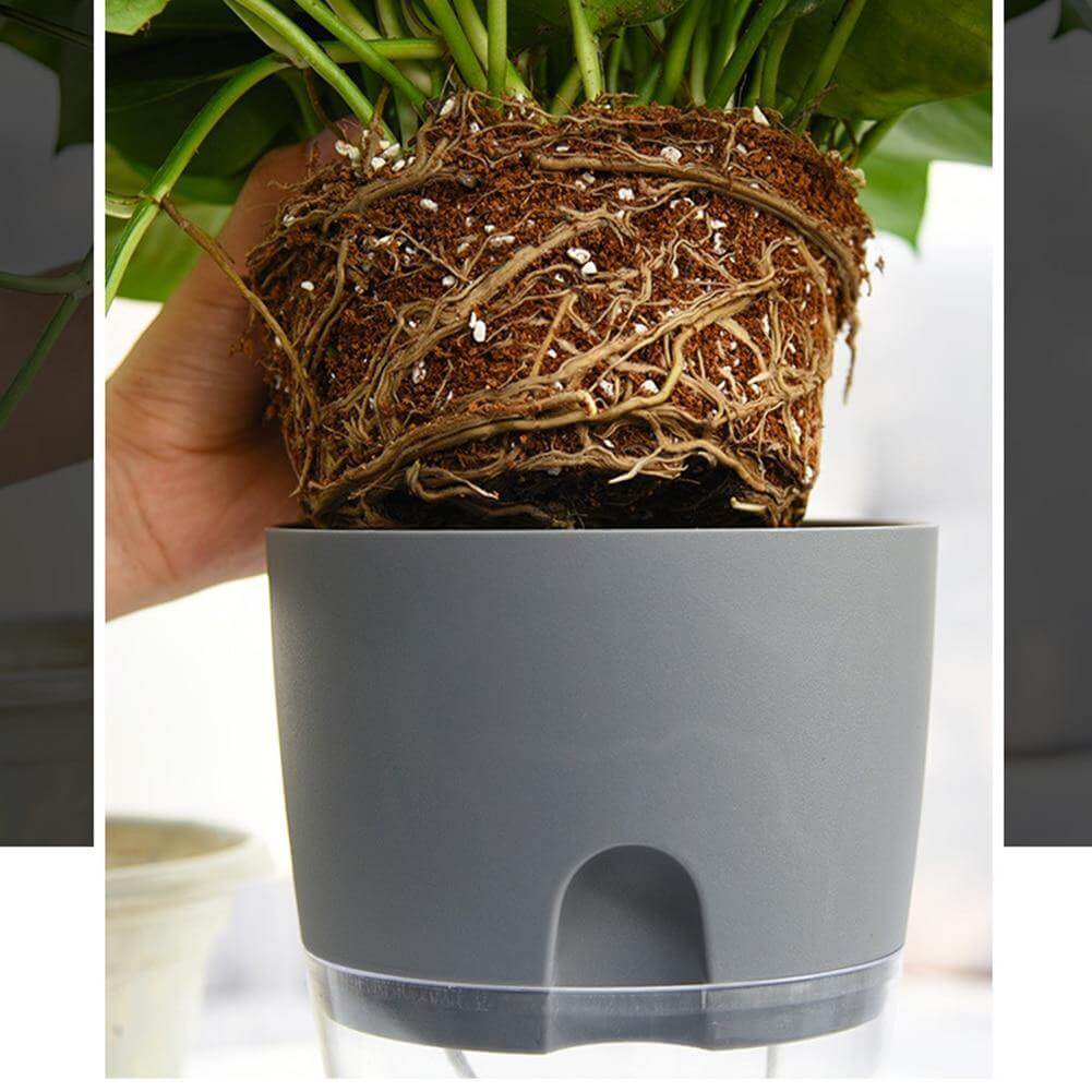 Self-watering Plant Pot with Water Container - MaviGadget