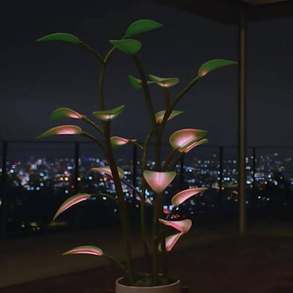 Magical Houseplant LED Night Light - MaviGadget