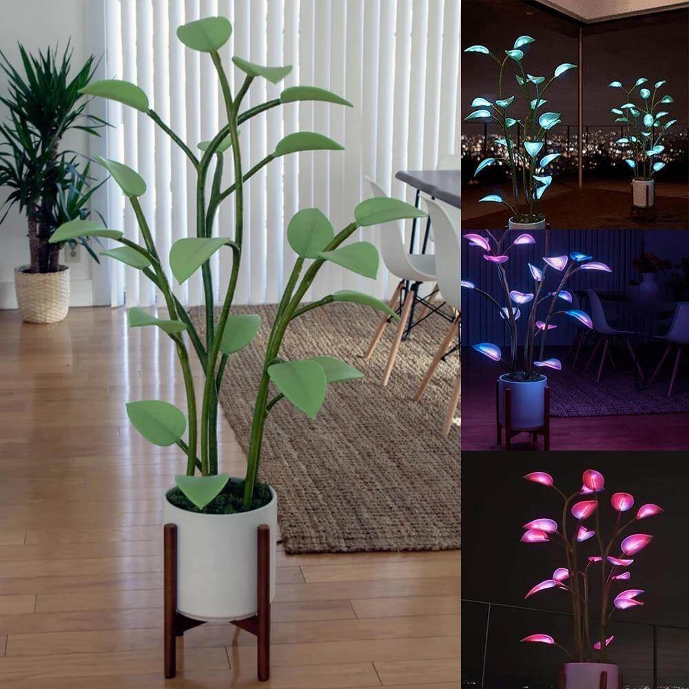Magical Houseplant LED Night Light - MaviGadget
