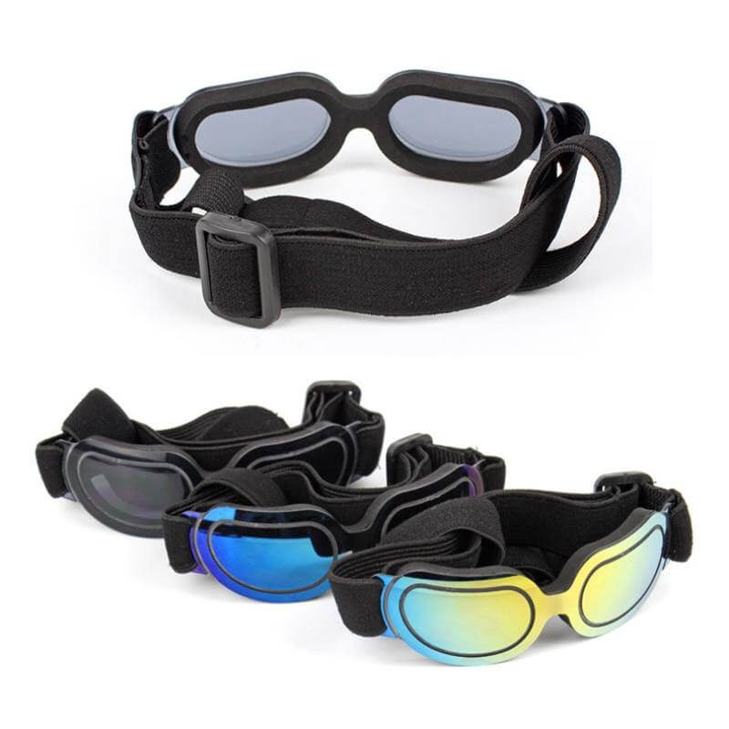 Cool Pet Fashion Helmet & Riding Cap - MaviGadget
