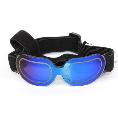 Cool Pet Fashion Helmet & Riding Cap - MaviGadget