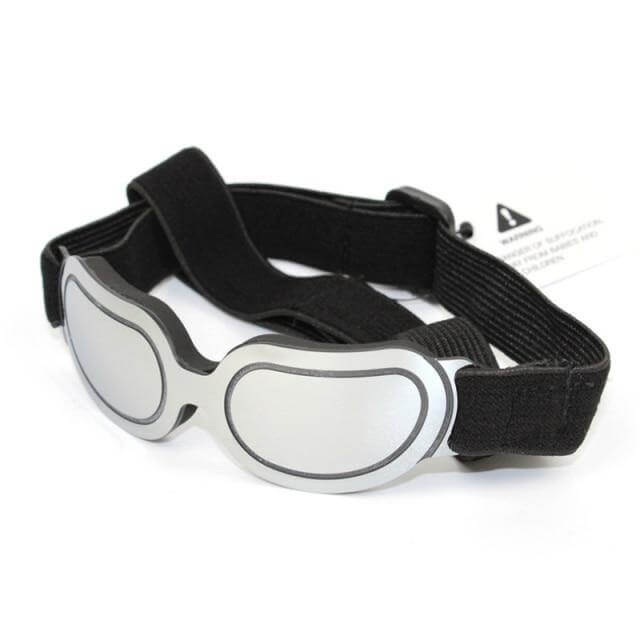 Cool Pet Fashion Helmet & Riding Cap - MaviGadget