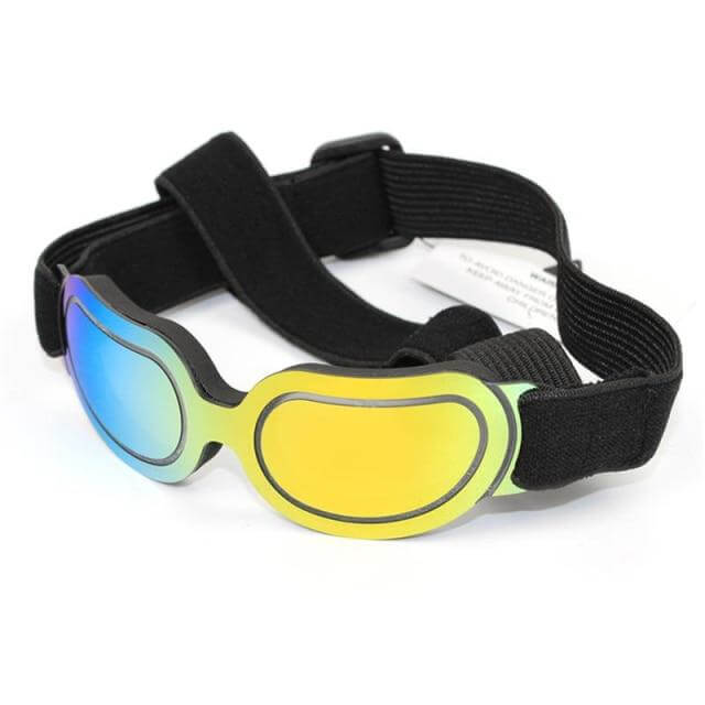 Cool Pet Fashion Helmet & Riding Cap - MaviGadget