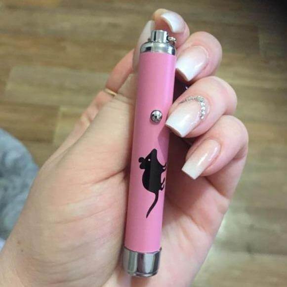 Funny Laser Cat Toy - MaviGadget