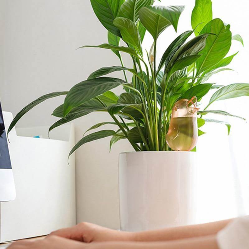 Automatic Plant Water Dripper - MaviGadget