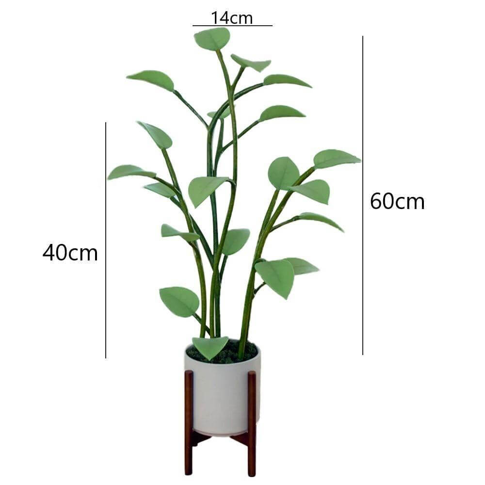 Magical Houseplant LED Night Light - MaviGadget