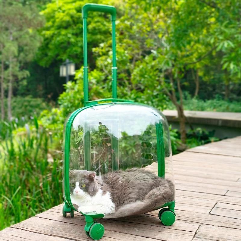 Transparent Pet Travel Trolley Capsule - MaviGadget