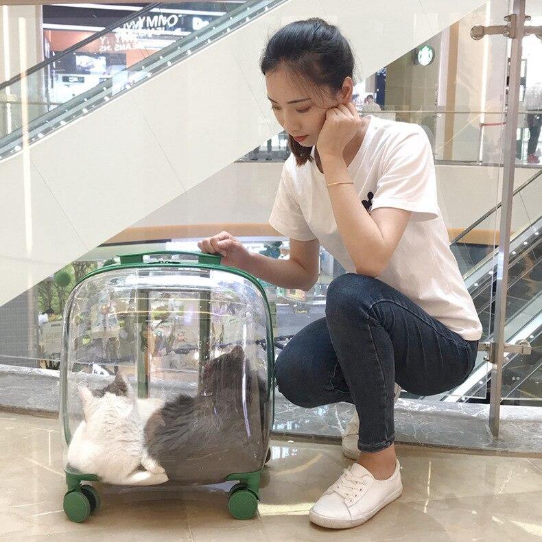 Transparent Pet Travel Trolley Capsule - MaviGadget