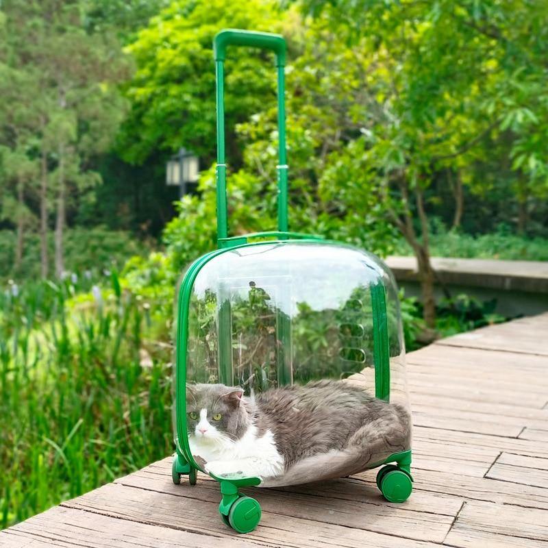 Transparent Pet Travel Trolley Capsule - MaviGadget