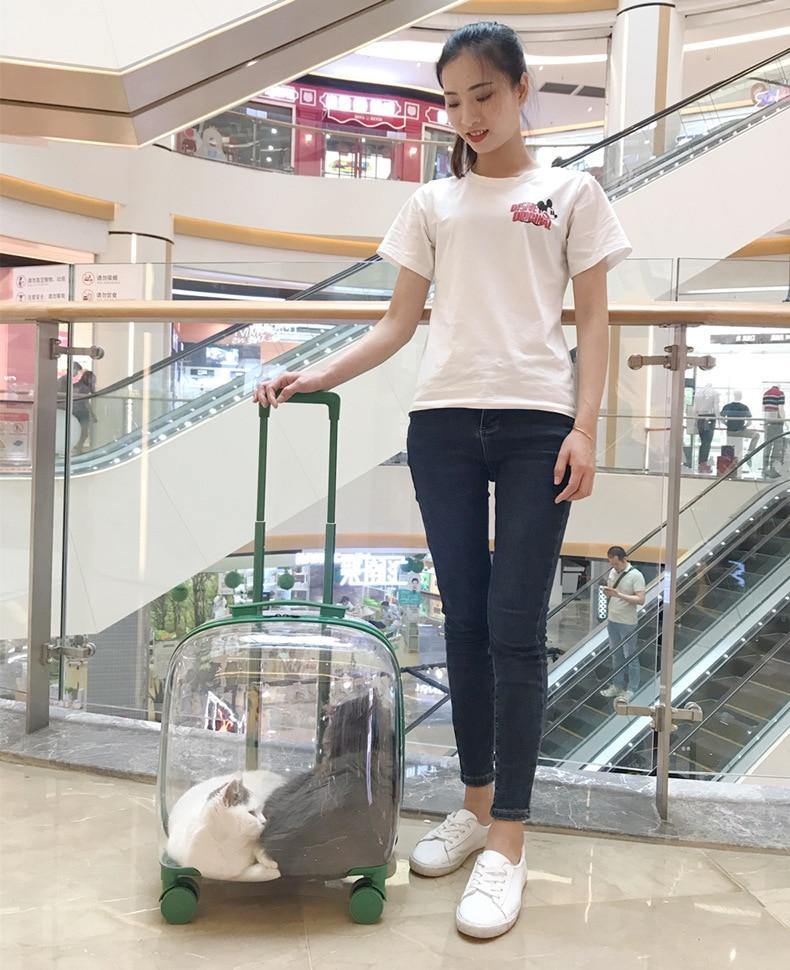 Transparent Pet Travel Trolley Capsule - MaviGadget