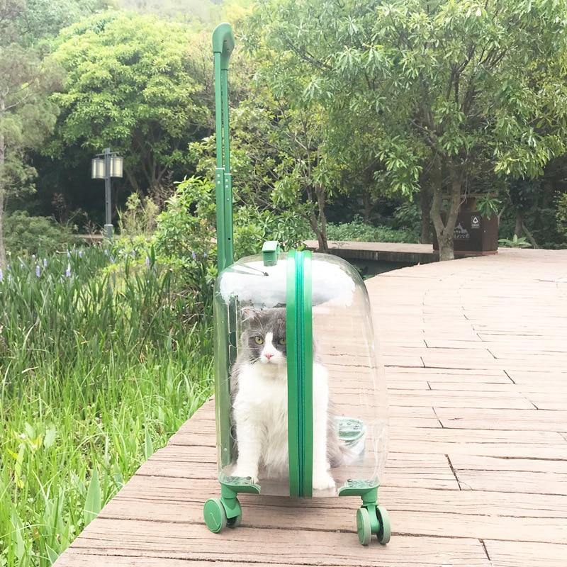 Transparent Pet Travel Trolley Capsule - MaviGadget