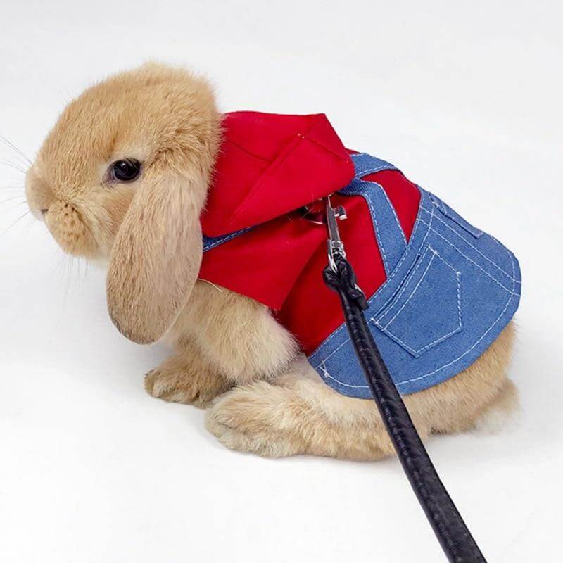 Rabbit Cute Jean Dress - MaviGadget