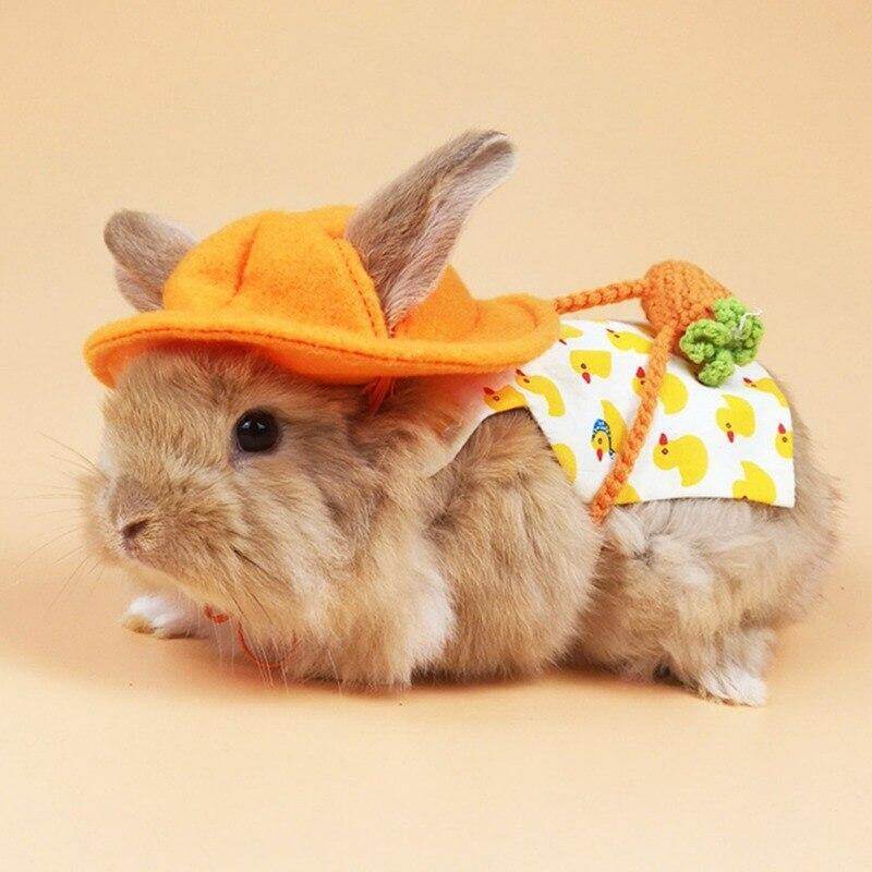 Rabbit Cute Jean Dress - MaviGadget