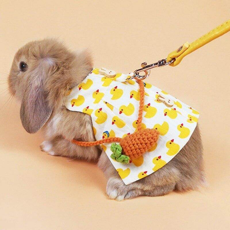 Rabbit Cute Jean Dress - MaviGadget