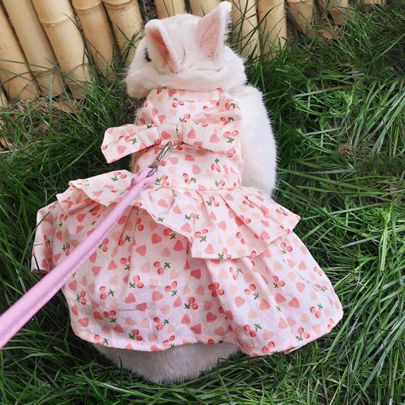 Rabbit Cute Jean Dress - MaviGadget