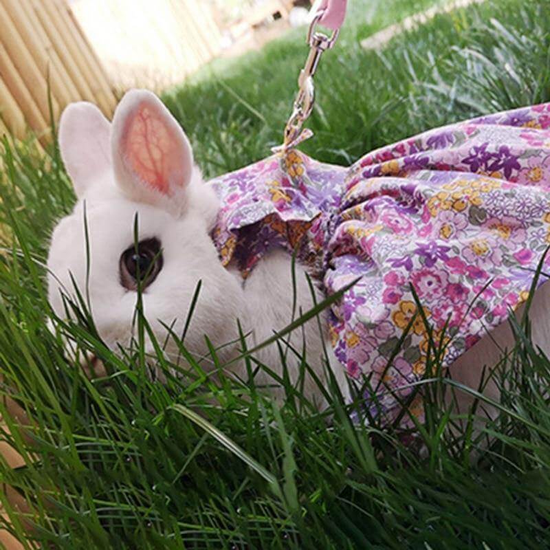 Rabbit Cute Jean Dress - MaviGadget