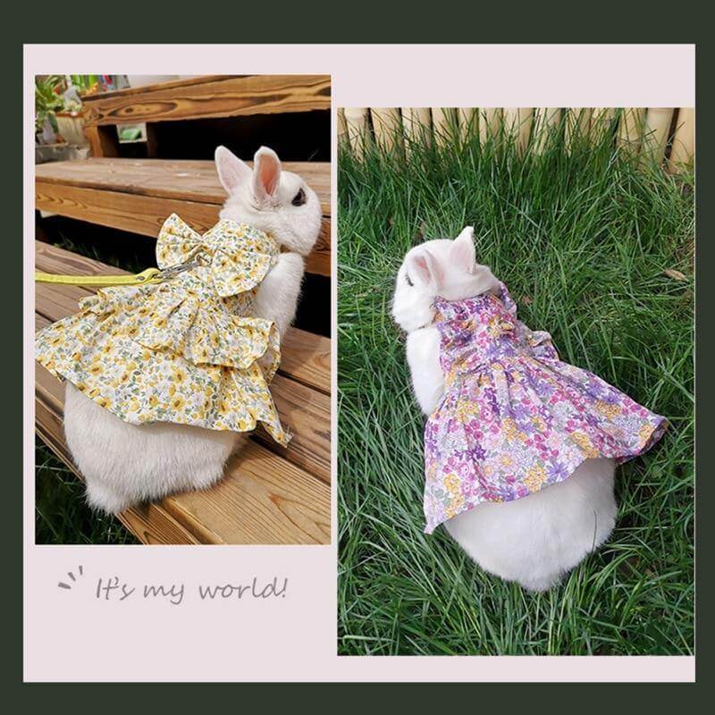 Rabbit Cute Jean Dress - MaviGadget