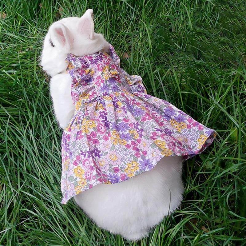 Rabbit Cute Jean Dress - MaviGadget