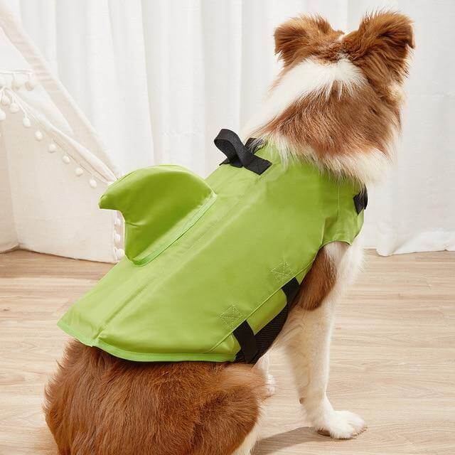 Dog Shark Pet Swimming Life Jacket - MaviGadget