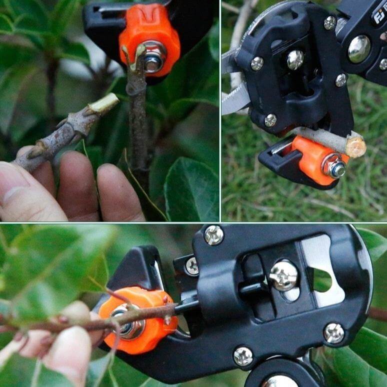 3 Style Multifunctional Fruit Tree Scissor - MaviGadget