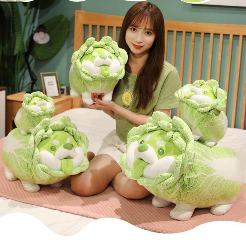 Cute Vegetable Cabbage Stuffed Dog  Pillow - MaviGadget