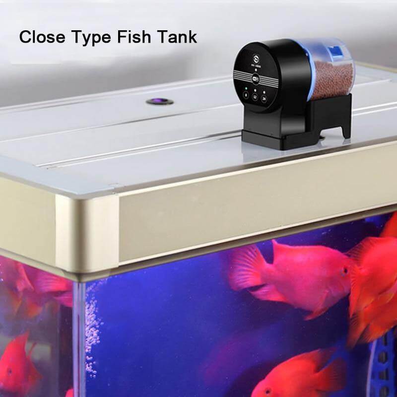 Automatic Timer Fish Feeder - MaviGadget