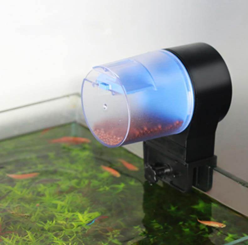 Automatic Timer Fish Feeder - MaviGadget