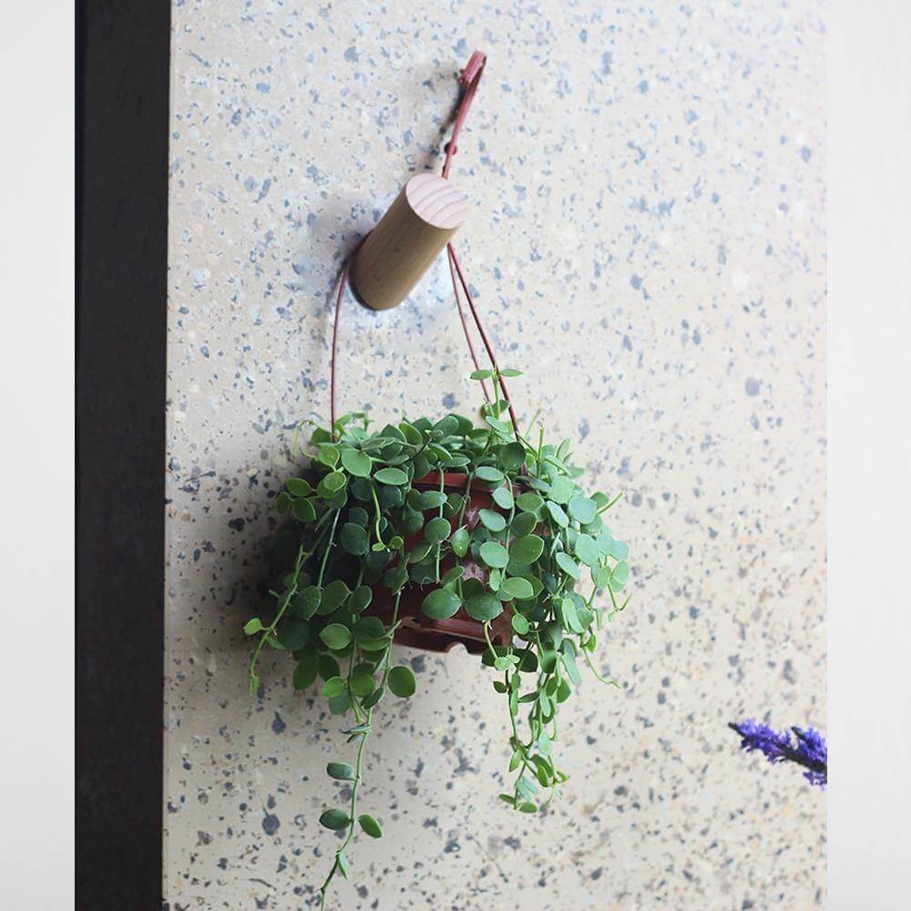 Nordic Wooden Easy Wall-Mounted Clothes Hanger - MaviGadget